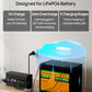 20A 12V Smart Battery Charger for Lithium (LiFePO4) Batteries