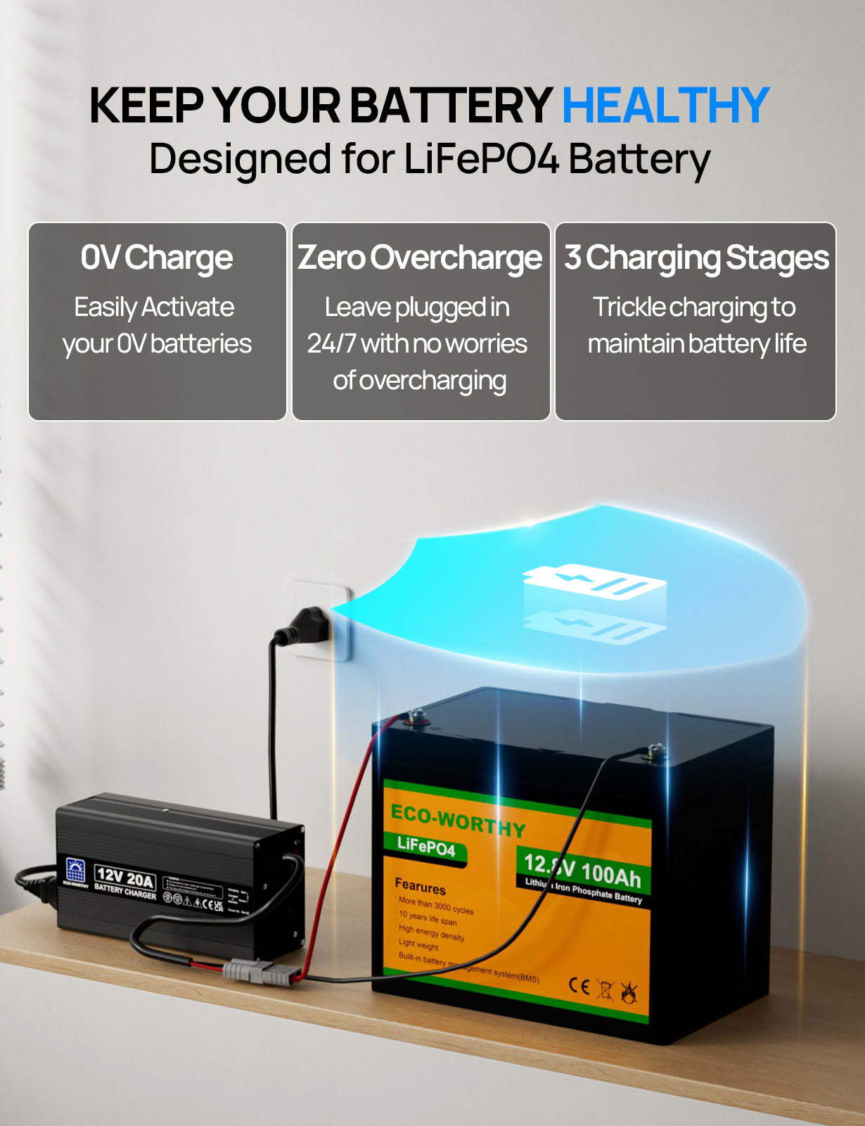 20A 12V Smart Battery Charger for Lithium (LiFePO4) Batteries