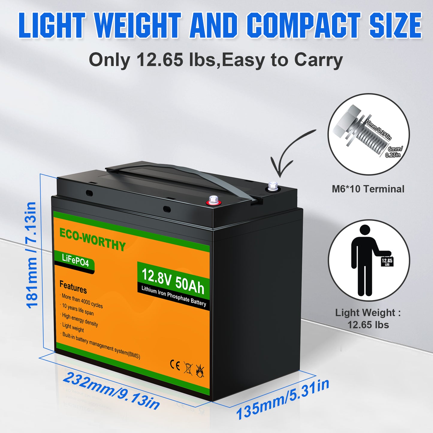 LiFePO4 12V 50Ah Lithium Iron Phosphate Battery