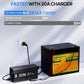 20A 12V Smart Battery Charger for Lithium (LiFePO4) Batteries