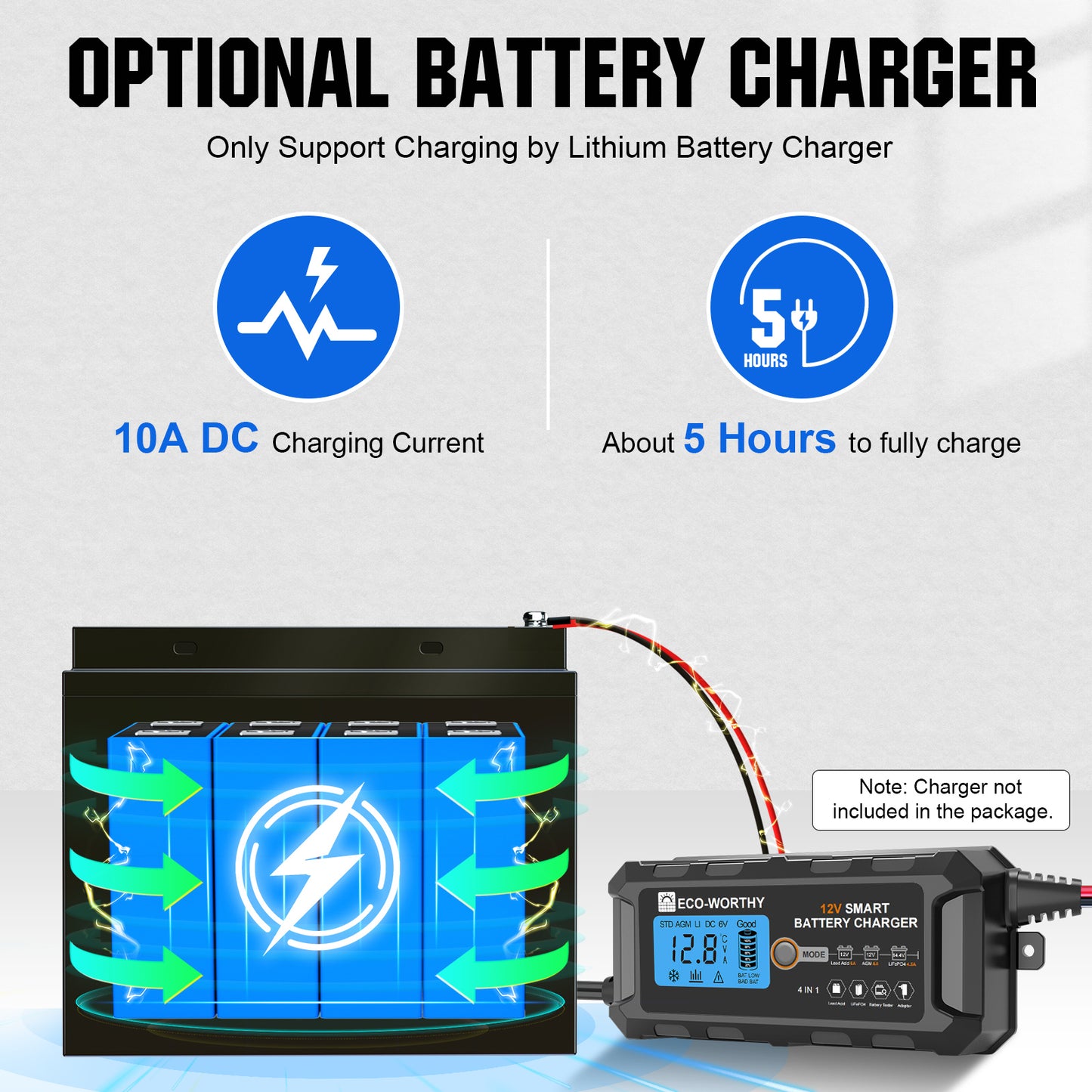 LiFePO4 12V 50Ah Lithium Iron Phosphate Battery