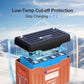 LiFePO4 12V 100AH Lithium Battery with Bluetooth and Battery Status Display, 100A BMS with Low Temperature Protection