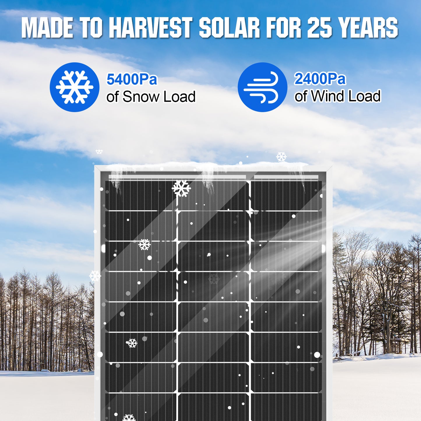 Bifacial 100W 12V Monocrystalline Solar Panel