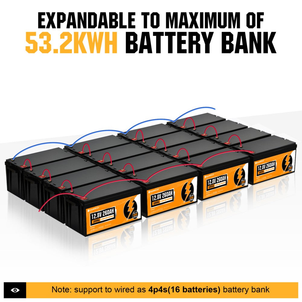 Eco-Worthy Lifepo4 Battery one year anniversary capacity testing #lifepo4  #solar #ecoworthy 